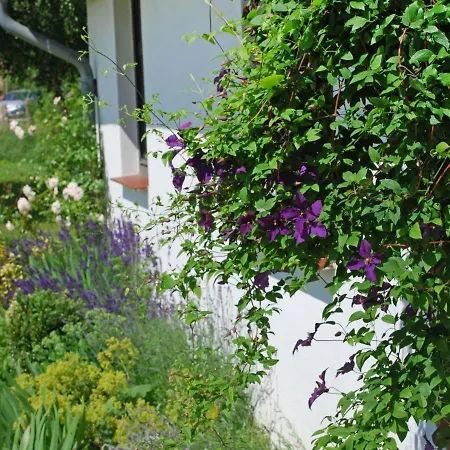 Apartment Fehmarn By Interhome