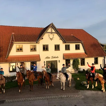 Fehmarn By Interhome Apartment